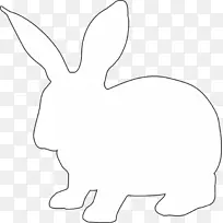 兔复活节兔