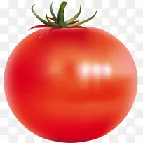 蔬菜李子番茄食品水果胃肠