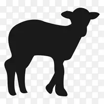 波尔山羊阿格里特/阿斯塔纳农场2018年卡拉哈里红牛-山羊载体