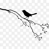 鸟类免费绘图-边境分支
