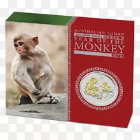 珀斯造币月刊系列金币银币猴子年