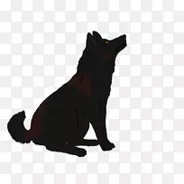 黑猫狗品种-污秽