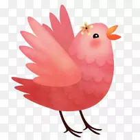 鸡鸟噬菌体科鸡喙-粉红色