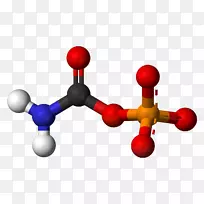 碳酸尿素羧酸氨基甲酸生化