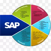 SAP ERP sap se企业资源规划sap HANA的实施-sap材料