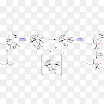 恩德斯样品/缓坡腙.烷基化反应手性辅助有机化学.控制