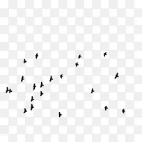 鸟类飞行轮廓画-鸟轮廓