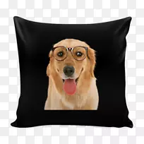 犬种金毛猎犬伴犬爪