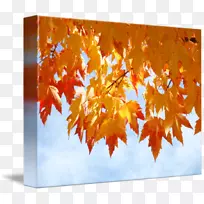 秋天叶色画廊包装橙色艺术-秋季海报