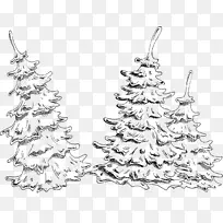 圣诞树，圣诞装饰，云杉，据说是金字塔。