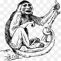 猿猴卷尾猴剪贴画-黑色猴子