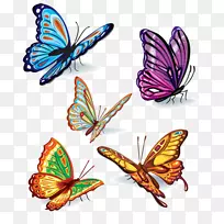 蝴蝶彩色昆虫剪贴画-创意蝴蝶