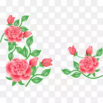 花园玫瑰，花卉设计，切花，康乃馨-浪漫的婚礼邀请与玫瑰