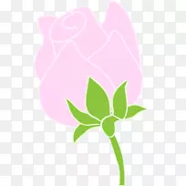 蔷薇科花卉设计花瓣剪贴画-玫瑰