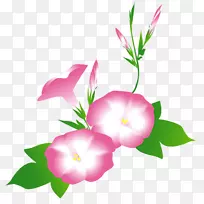玫瑰科植物茎纹花瓣设计
