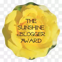 博客奖提名WordPress.com-阳光和柠檬水
