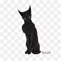 孟买猫黑猫科拉特家短毛猫须-皮肤刮伤