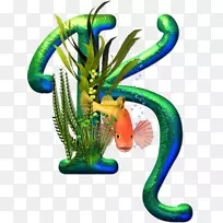 拉丁文字母表字母k鱼丸汤