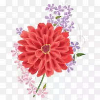 花卉剪贴画-美丽的花卉图片