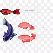 海洋粉红m鱼-底栖动物