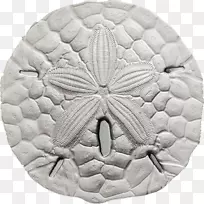 美元硬币砂元防伪铸币银币砂元