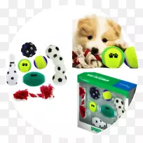 犬种小狗玩具-狗玩具