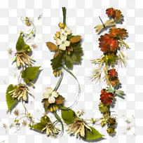 自然金秋剪贴画-成群结队的花朵