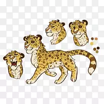 豹狮子胡须美洲虎遮阳豆子
