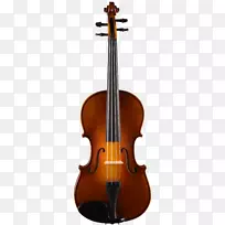 小提琴弦乐器大提琴中提琴弓优美的下巴