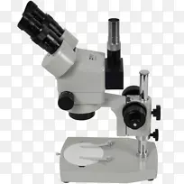立体显微镜，光学眼显微镜