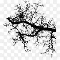 树枝枝条轮廓画.树枝