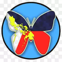 菲律宾燕尾蝶
