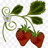 草莓树amorodo剪贴画-草莓插图