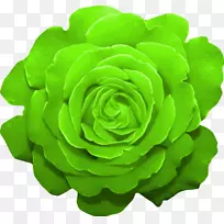花园玫瑰，绿色切花，彩色花束
