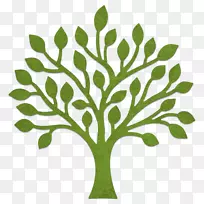 兴高采烈的林恩设计了生命之树-生命之树