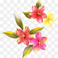 花卉花瓣设计-花卉
