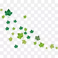 叶绿色光栅图形剪辑艺术-绿色常春藤