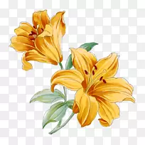 百合花水彩画-神秘花园风