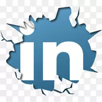 LinkedIn社交媒体安全黑客用户简介社交网络-社交媒体