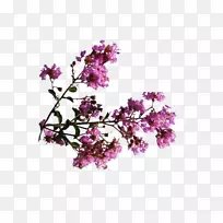 数码艺术-粉色花朵香水
