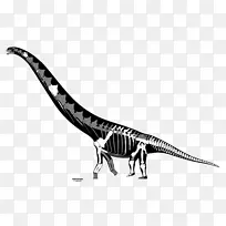 马门溪龙(Futalognkosaurus)