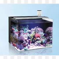 礁水族馆蛋白撇渣水族箱滤光片