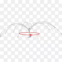 自行车轮蜘蛛鸟旋转风