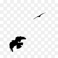 鸟肉乌鸦艺术-黑色乌鸦