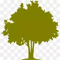 电脑图标橄榄树颜色橄榄树