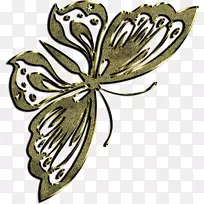 昆虫翅膀对称开花植物剪贴画.精致花边