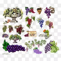 葡萄食品-葡萄