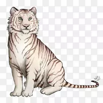 胡须、狮子、白虎、猫、狮