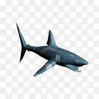 大白鲨海洋生物微软蓝鲨