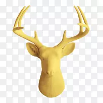 白尾鹿墙装饰艺术-大鹿头